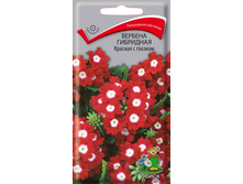 ������� �������.������� � ������� 0,1� ����� 12,00 ���.[���.��000010356]