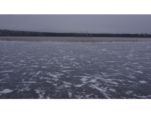 ����� �������