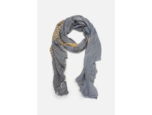 20106440025   Phlox        .jpg