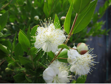 ���� ������������� - ������ �������� ...