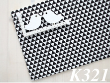 K321.jpg