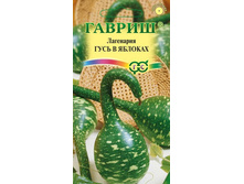 ��������� ���� � ������� 5�� ������ 10,23���. [���.��000009733]