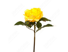 ���� ����������� 27 �� 1 �� (֣����) 120 84�.jpg