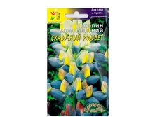 ����� ��������� ������� ��.��� 9,00 ���.[���.��221]