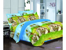 ���������� ����� �� ������� RP-170.jpg