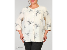 ������ 2704531-12.jpg