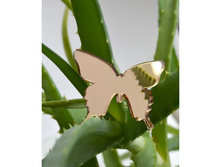 ����� ������� �������