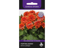 �������� ������ ����� ������ 10�� ����� 17,00 ���.[���.��000010366]