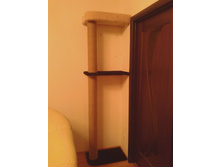 ������� �� 1650�