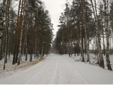 P 20171202 135001.jpg