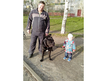 IMG 20160426 174720.jpg