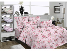 9773 �������.jpg