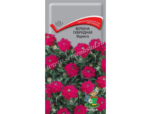 ������� �������.�������� 0,1� ����� 12,00 ���..jpg