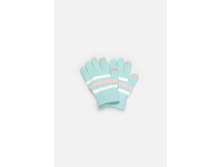 20236420013   Edelweiss          .jpg