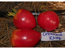 ����� ������� ���� 20�� ��� ��� 13,80���. [���.��000010435]