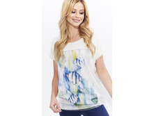 SALOMEA 031 - 1410 �.