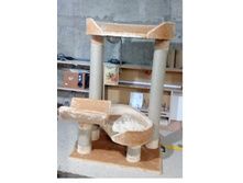 �������� "����" 100��