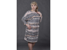 2/17-2150�������� ����ģ���� �����