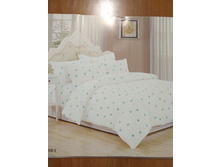 ���������� ����� �� ������� ���.RP-041.jpg