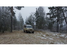 2017-11-28 15.38.17 cr.jpg