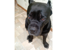 IMG 20160120 182250.jpg