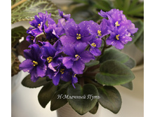 �-������� ����2.jpg