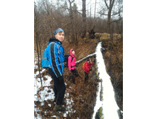 P 20171119 120643.jpg