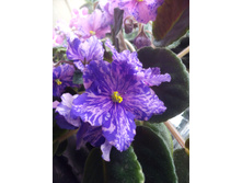 ��-�����