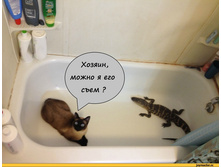 ������, ����� � ��� ����?