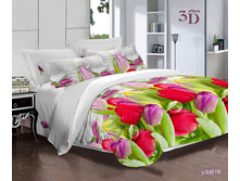 ���������� ����� �� ������� ���.RP-096.jpg