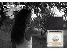 TARDES CARNER BARCELONA �.�. 100 �� 7600+%+����