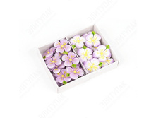 ����� �� ������� ��������� 2.5 �� x 2.5 �� 24 �� � �������� (��������-�����) 205 150�.jpg