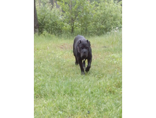 IMG 20170617 115058.jpg