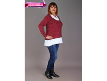 ���\�������: ��0054 ����� "����" 460,00 ���.