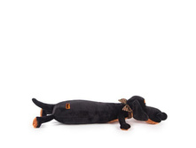 ������ - ������� 55 �� - 760 ���.