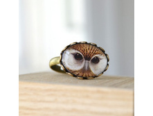 ������ ������ ����