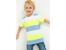 20120110090   Duck          .jpg