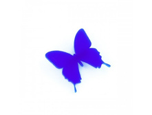 ����� ������� �����