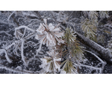 2017-11-28 15.18.29 cr.jpg