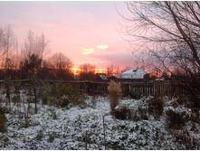 ������....