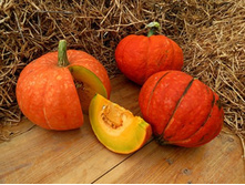 ����� F1 �������� ���. ����.jpg