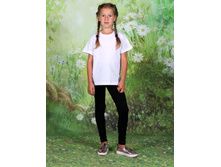 3/13-3100� �������� �������