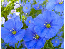 ��� �������� ������4.jpg