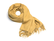 ���� 003800 13.jpg