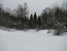IMG 8265.jpg