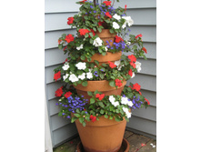 ��������� ����� �����.jpg