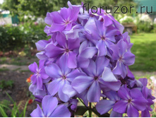 �������� ������