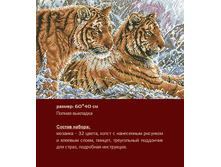 �-339 ���� ������ ������ (��) 60�40 ���� 1794 ���.png