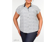 ������ 2704082-01.jpg