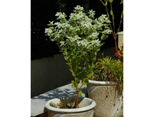 �������� ��������� ���� �� ����2.jpg